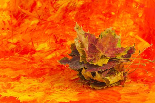 A pale of autumn leaves on colored background