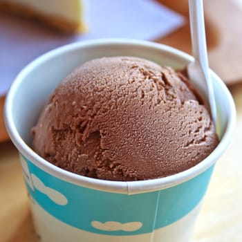 Homemade chocolate ice cream scoop