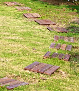 Walk path in the yard made of wood