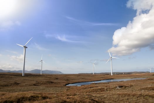 long grass and bogland with wind turbines in the background in Ireland