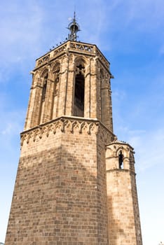 Barcelona cathedral details, Spain. The cathedral is in the heart of Barri Gotic (Gothic Quarter) of Barcelona 