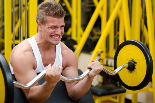 Handsome young man training biceps lifting barbell on bench in a gym