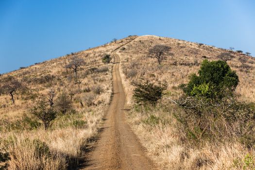 Dirt road in park reserve climbing distant steep hill through dry terrain vegetation landscape.