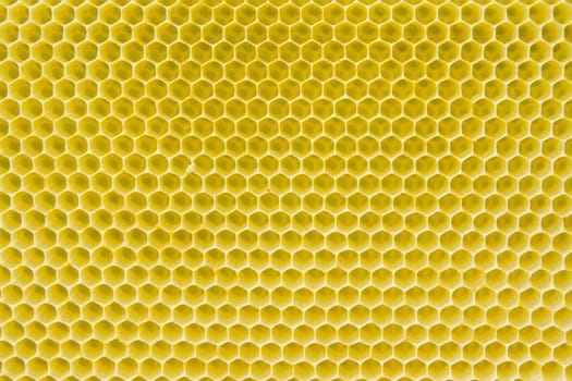 Honeycomb pattern with yellow empty cells in daylight