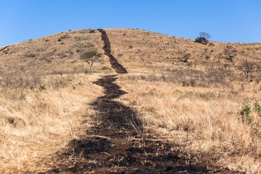 Fire break burn done over dry park reserve landscape to help with bush fires.