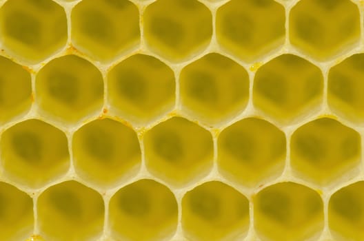 Honeycomb pattern with yellow empty cells in daylight