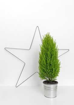 Christmas star and little green tree in a metal pot.