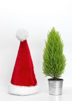 Santa hat and little Christmas tree on white background.
