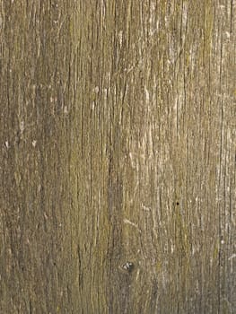 Close up of old weathered wooden surface texture