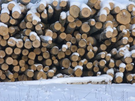 Pile of logs under snow in winter