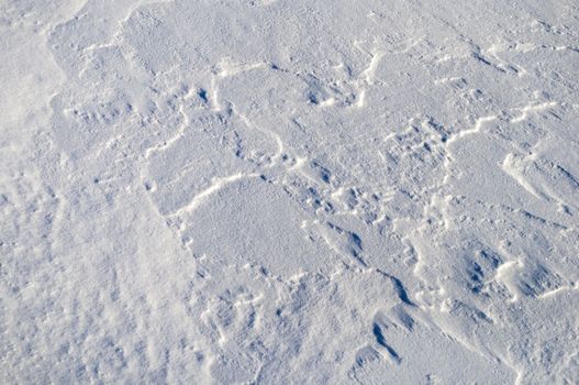 The texture of fresh snow surface