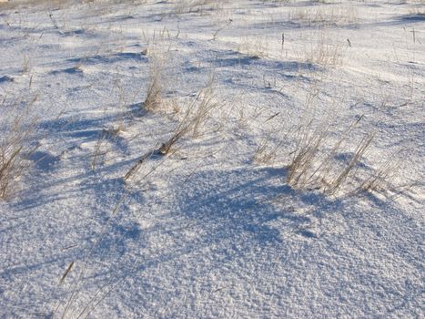 Dry grass under snow surface, sunny day