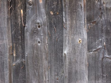 Fragment of dark rough wooden background with nails