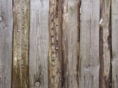 Fragment of wet rough plank wooden fence