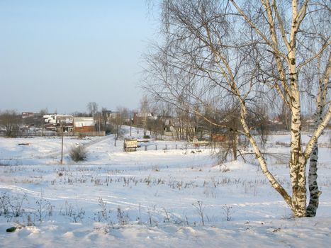View of russian village and birch at winter sunny day