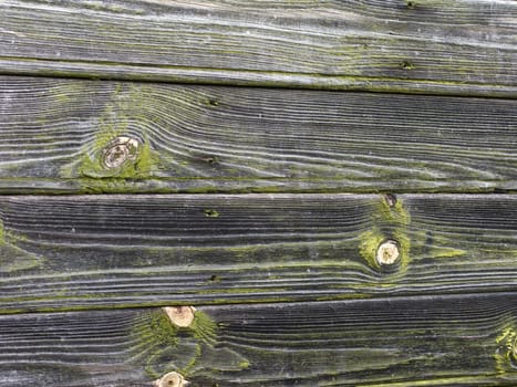 Closeup of old weathered green painted wooden wall