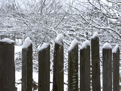 Old wooden fence in garden under snow