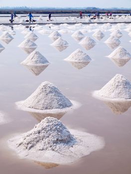 Farmer raking in the salt field in Thailand