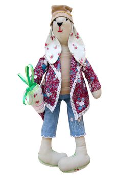 The Isolated handmade doll hare in fashionable clothes with carrots
