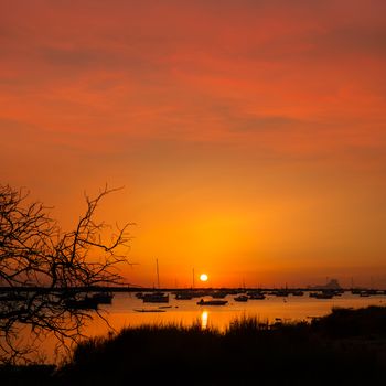 Formentera sunset in Estany des Peix boats with Ibiza Es vedra in Background