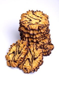 shortbread cookies covered with chocolate, photo taken in studio