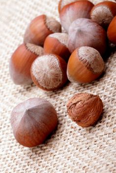 hazelnuts, photo taken in studio
