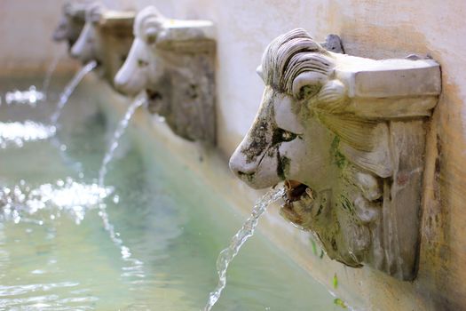 Water flow from lion statue on wall 