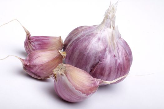 pink garlic, photo taken in studio