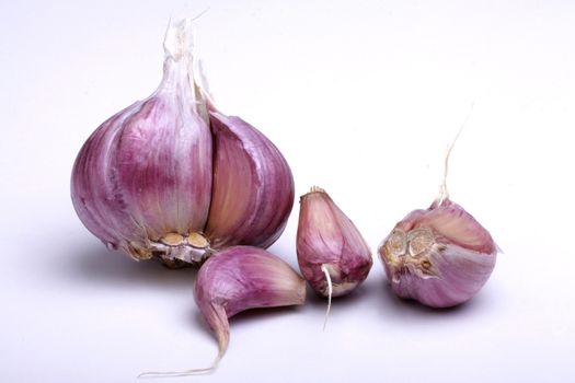 pink garlic, photo taken in studio