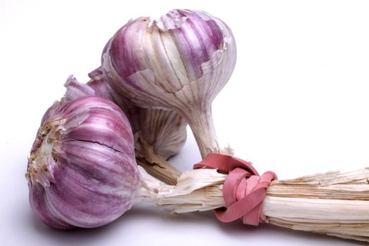 pink garlic, photo taken in studio