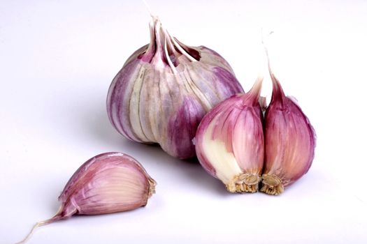pink garlic, photo taken in studio