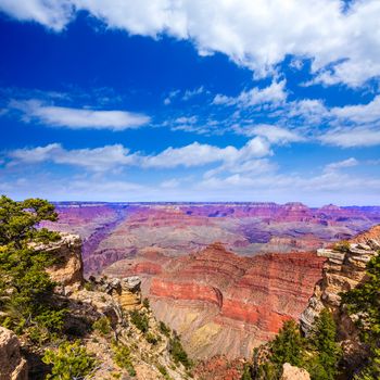 Arizona Grand Canyon National Park Mother Point and Amphitheater USA