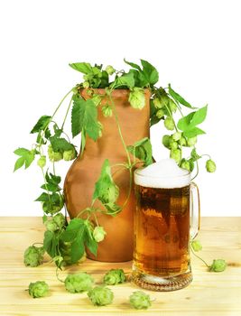Beer still life. Glass of beer with flowers and leaves of hop (Humulus lupulus) in a clay pot on a wooden table. Isolated on a white background.