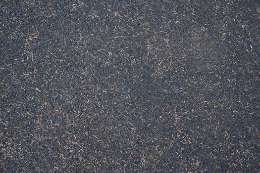 Closeup of seamless soil texture