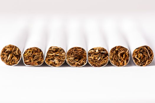 Closeup of cigarettes in a row on white background