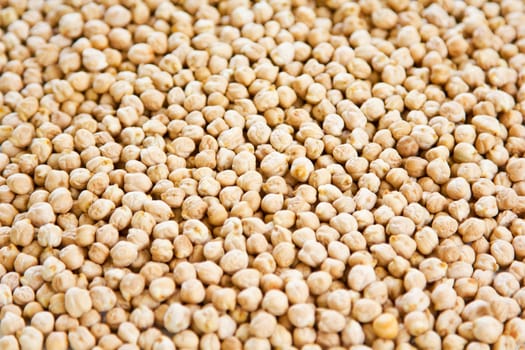 Chickpea also knowns as Garbanzo bean