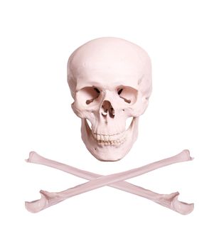 skull and crossbones