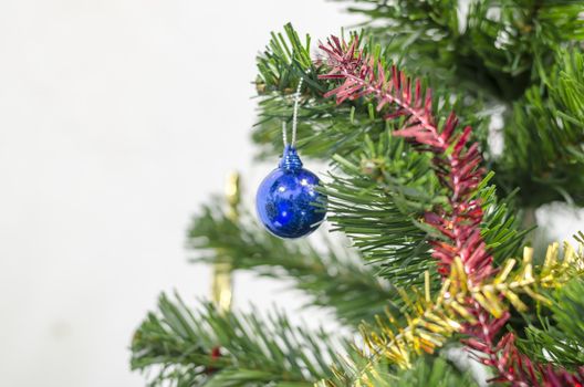 close up blue christmas ball on tree isolated on white background