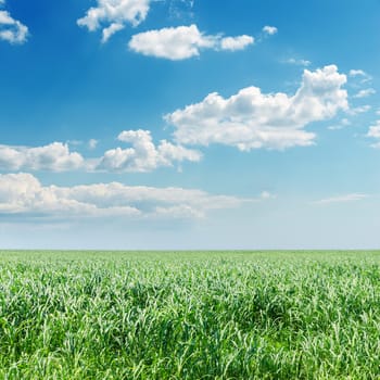 cloudy sky over green field