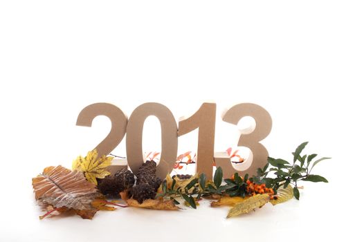 Year in numbers with autumn leaves and other product for New Year