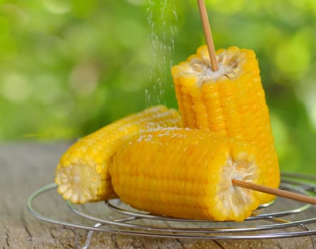 corn boiled on metal support and wooden table