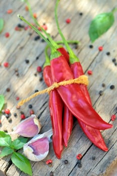 Chili pepper and spices in shutter studio