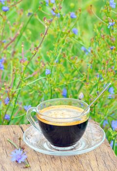 diet drink chicory is coffee substitutes