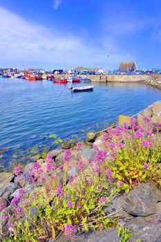 ocean port in ireland