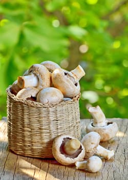 mushrooms in a basket on a wooden background