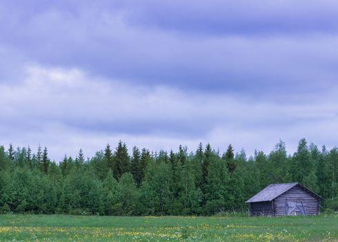 Blue cloudy skies over blue-grey wooden barn against green forest and on green grass field with yellow and white flowers.