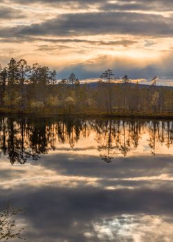 Stormy night skies enlightened by the hidden golden sun and a green-brown forest are all reflected in the lake.