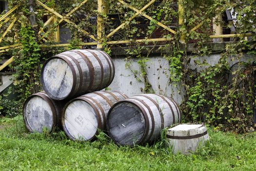 Old stacked beer barrels at the farm