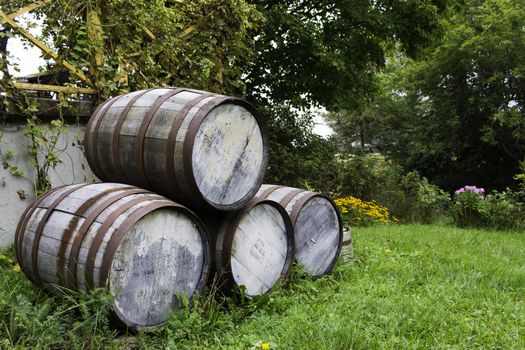 Old stacked beer barrels at the farm