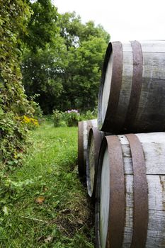 Old stacked beer barrels at the farm